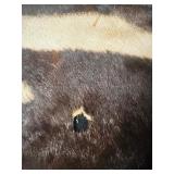 ZEBRA HIDE on felt backing