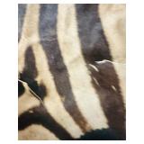 ZEBRA HIDE on felt backing