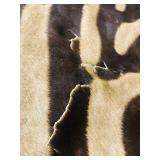 ZEBRA HIDE on felt backing