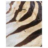 ZEBRA HIDE on felt backing