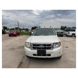 2010 Ford Escape
