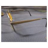 Polaroid Bifocals & Case