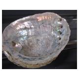 Abalone Shell, Coral