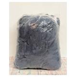 Full/Queen Microplush Bed Blanket Metallic Blue - Threshold