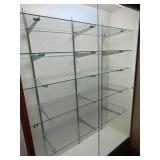 Showcase Designs Display Case with Glass Shelves & Lighting