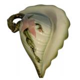 H6 - Vintage Hull Woodland Wall Pocket