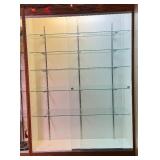 Showcase Designs Display Case with Glass Shelves & Lighting