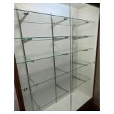 Showcase Designs Display Case with Glass Shelves & Lighting