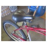 (FRNT) Schwinn Panther Men