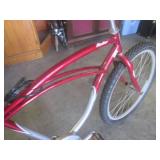 (FRNT) Schwinn Panther Men