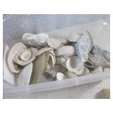 (BR3) Container of Seashells and Ce...