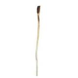 Natural Wood Walking Stick Cane - Approx. 43 Inch Rustic Branch Style