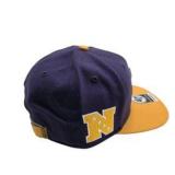 NFL Minnesota Vikings Fans Apparel Lot Hats Gloves Mask