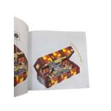 LEGO Harry Potter Hogwarts Castle & Village Lot – Set 75969, Set 76399, Minifigures, Manuals & Extra Pieces