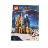 LEGO Harry Potter Hogwarts Castle & Village Lot – Set 75969, Set 76399, Minifigures, Manuals & Extra Pieces