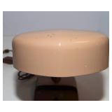Tan Gooseneck Lamp