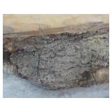 Live Edge Wood Piece 24 x 17 x 3"...