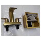 Gold Bathroom Faucet and Toilet Hol...