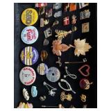 Brooches and Pins
