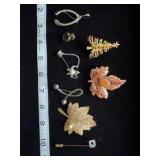 Brooches and Pins