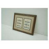 framed Vintage Ameripex 