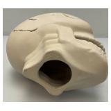 Large Vintage Ceramic Skull 6" x 8" x 9"