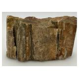 Petrified Wood 2" x 3" x 4 1/2"