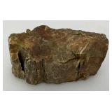 Petrified Wood 2" x 3" x 4 1/2"