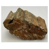 Petrified Wood 2" x 3" x 4 1/2"