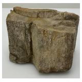Petrified Wood 2 1/2" x 3" x 4"