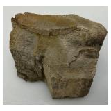 Petrified Wood 2 1/2" x 3" x 4"