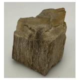 Petrified Wood 2 1/2" x 3" x 4"
