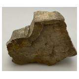 Petrified Wood 2 1/2" x 3" x 4"