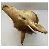 Very Old Spike Deer Mount