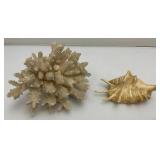 Misc. Vintage Collectible Items Including Coral And more