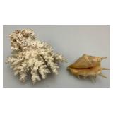 Misc. Vintage Collectible Items Including Coral And more