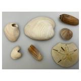 Misc. Vintage Collectible Items Including Coral And more