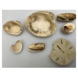 Misc. Vintage Collectible Items Including Coral And more