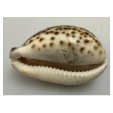 Misc. Vintage Collectible Items Including Coral And more
