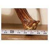 Genuine Moose Antler