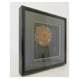 Cool Framed Signed Banksia Seed Artwork by Craig Richardson
