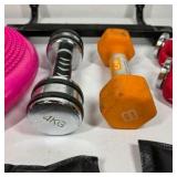 Lot of Home Fitness Accessories, Dumbbells, and Pull-Up Bar