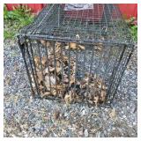 Lot of 2 Wire Live Traps