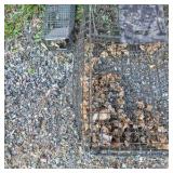 Lot of 2 Wire Live Traps