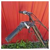 EZ Tandem 2-Person Recumbent Tandem Bicycle