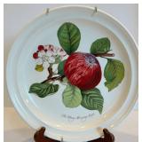 Portmeirion the Harvest Morning Apple Plate
