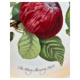 Portmeirion the Harvest Morning Apple Plate