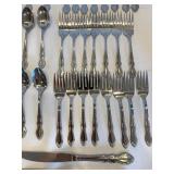 Towle Supreme Stainless Japan Flatware Assortment