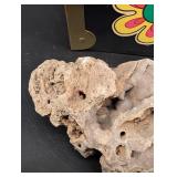 Mixed Mineral Specimen Lot With Storage Box