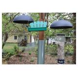 Bird Feeder Set of 3